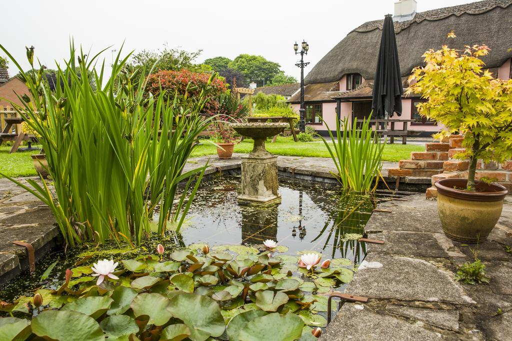 The Anvil Inn Blandford Forum Dış mekan fotoğraf